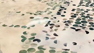 How saudi is turning desert into Greenland