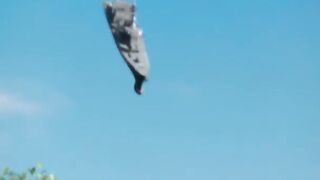 Homecoming ||#shorts #viral #trending