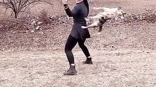 DOG PLAY