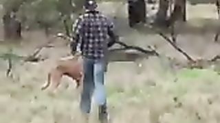Funniest animals