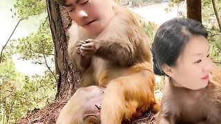 New comedy funny video