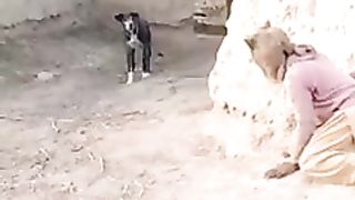 funny_#comedytv_#viralvideo_#shortvideo(240p).