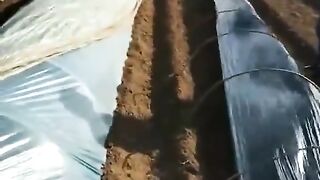 Pata nahi es qaum par karz kaisy char gya.