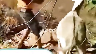 کھوتا سمجھ گیا ظالم سے بدلہ کیسے لینا ہے