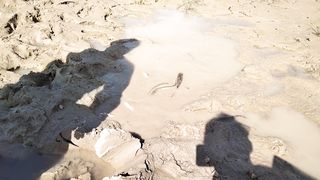 Fishing in pakistan