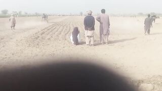 Ox running mela 2023