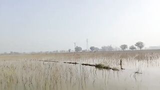 Village life