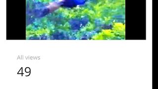 Earnings of my video