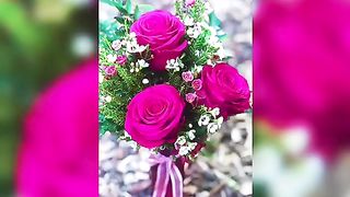 Beautiful ????????????????????