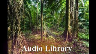 Peruvian Woods — Dave Osorio - Free Background Music - Audio Library