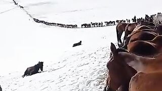 -30 ????????????мароз