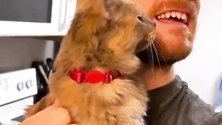 Funny clip