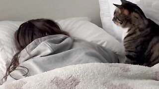My alarm gave up this morning