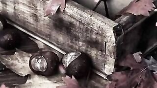 Sad urdu quotes #love #sad #whatsappstatus