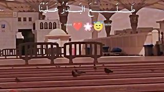 MashaALLAH