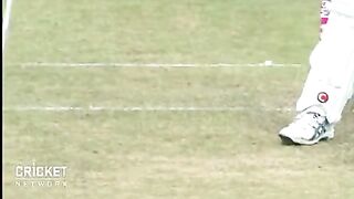 Cricket fans