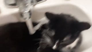 The look betrayal at the end