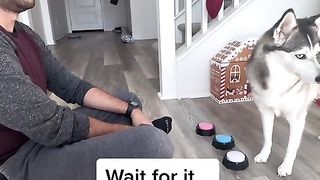 Funny clip don't miss end