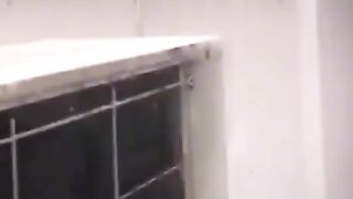 Funny cat and dogs viral video 2023