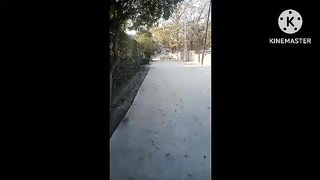 Shah pyare Sarkar Darbar. Rawalpindi chor joke