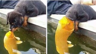 Funny moments.A little funny ????