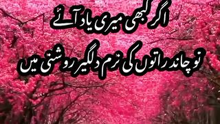 Jb kbi meri yad ay/urdu poetry/bazm e adab