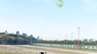 #Petlover ❣️