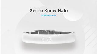 Halo Collar wireless fence helps keep your dog safely contained even when off leash