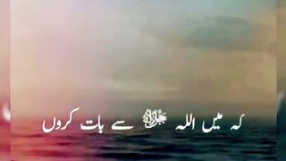 Hazrat Ali ka farman h ????????❤️ #islamicstatus #youtubeshorts #status #shorts #viralshorts #tariqjameel