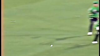What a catch????