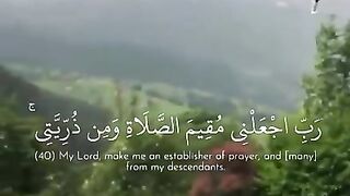 Quran Lovers ❤️????