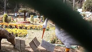 Flower lover