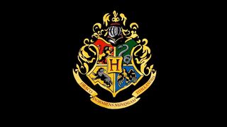 Harry Potter Parodies ⚡ @chanwills0 TikTok Compilation