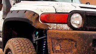 Cars lovers