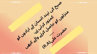 Best Urdu Quotes Collection || Banu Qudsia Quotes