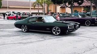 Cars lovers
