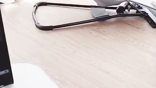 Funny French Bulldog - TikTok Compilation
