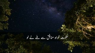 10 best quotes of hazrat ali