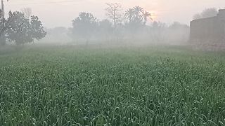 Time lapse in morning Sun rays