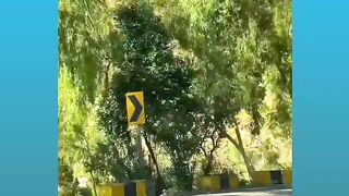 Kashmir