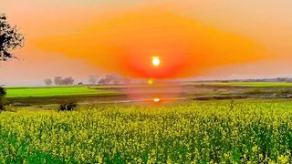 Khetibadi…,  …किसान..#nature #naturelovers #natureseen #natureview #view #farmer #farmers #khetibadi   #kheti #