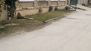 Office Allama Iqbal Open University