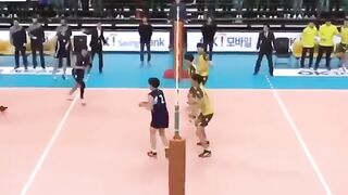 Volleyball game