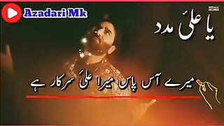 میرے آس پاس میرا علی سرکار ہے