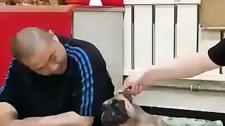 Funny fighting with dog
