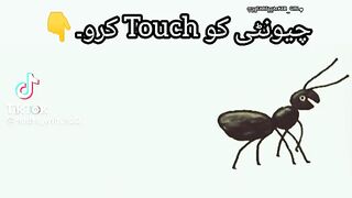 Hy ma mar gi hy mujy mar diya