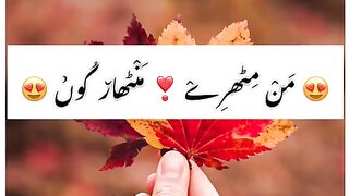 Happy Life