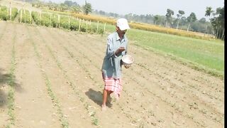 Field work