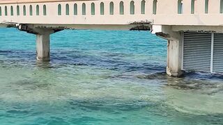 jeddah sea home ????