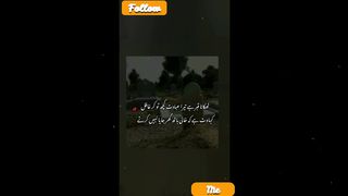 urdu shayari